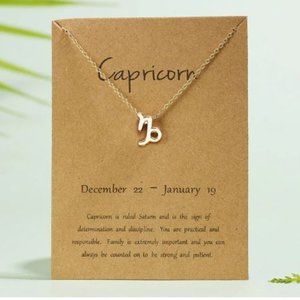 Horoscope Constellation Zodiac Capricorn birthday Sign Customized gold necklace